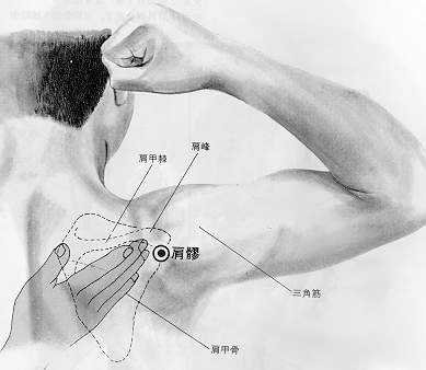 Articulation de l'épaule, 肩髃 jiān yú, est le quinzième point du méridien du gros intestin