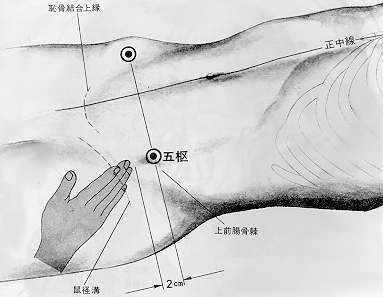 Pivot central, 五枢 wǔ shū, est le vingt septième point du méridien de la vésicule biliaire.