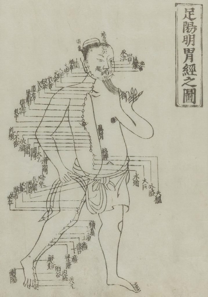 Gravure sur bois montrant le méridien de l'estomac d'un homme debout, de face, portant un pagne avec le méridien dessiné sur la poitrine et la jambe avec des caractères chinois donnant les noms des points, de Jushikei hakki de Hua Shou, 1716