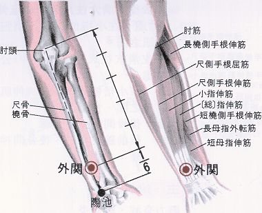 Obstruction interne, 内关 nèi guān , est le sixième point du méridien du péricarde.