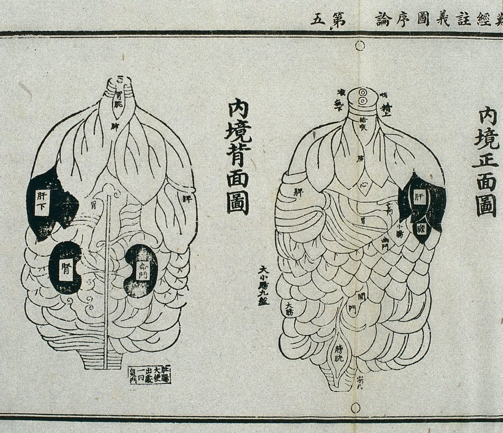 Gravure sur bois, du 15e siècle, illustrant les organes internes selon le canon taoïste,