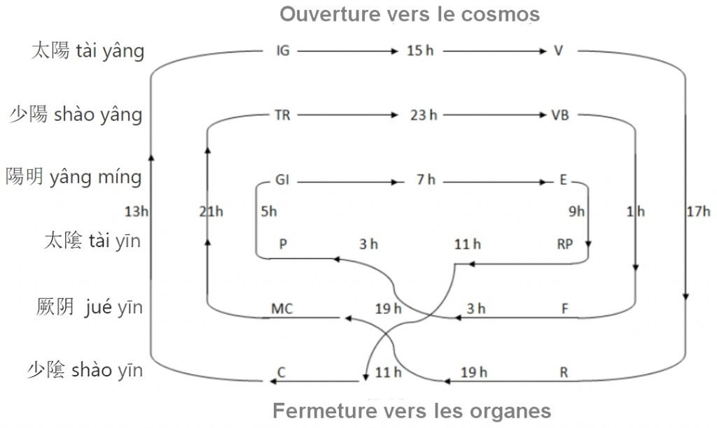 Illustration des six niveaux dans la théorie des méridiens