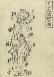Gravure sur bois de Jushikei hakki de Hua Shou, 1716 montrant le méridien de la vésicule biliaire d'un homme debout, de profil, portant un pagne avec le méridiens indiqué sur la jambe et à la poitrine avec des caractères chinois donnant les noms des points