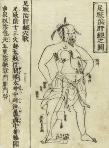 Gravure sur bois de Jushikei hakki 1716 de Hua Shou montrant le méridien du foie d'un personnage masculin debout, de face, portant un pagne avec le méridien représenté sur la poitrine et à la jambe avec des caractères chinois donnant les noms des points