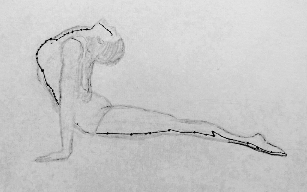 Illustration de l'étirement du méridien de l'estomac dans Bhujangasana, le cobra