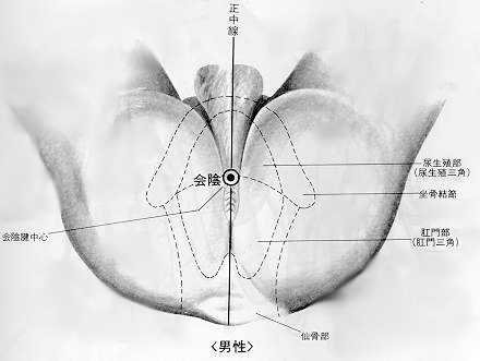  Convergence des yin, 會隂 huì yīn, est le premier point du vaisseau conception.