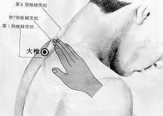 Grande vertèbre (大椎, dà zhuī), située sous la proéminence de la septième vertèbre cervicale, est le quatorzième point du vaisseau gouverneur.