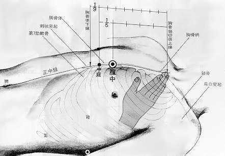Centre du thorax, 膻中 shān zhōng, est le dix septième point du vaisseau conception.