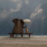 Illustration montrant un éléphant qui protège un chat de la pluie avec son parapluie