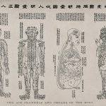 Diagramme anatomique montrant les canaux d'air et les organes du corps, quatre personnages Gravure sur bois avec une typographie sur papier de riz, Ming 19 e siècle