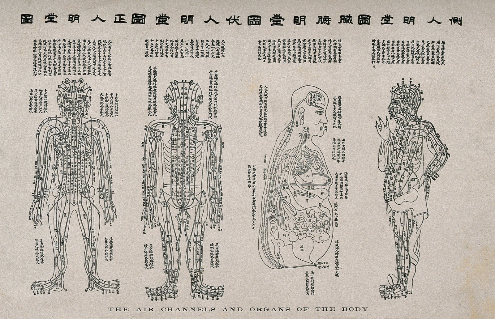 Diagramme anatomique montrant les canaux d'air et les organes du corps, quatre personnages Gravure sur bois avec une typographie sur papier de riz, Ming 19 e siècle