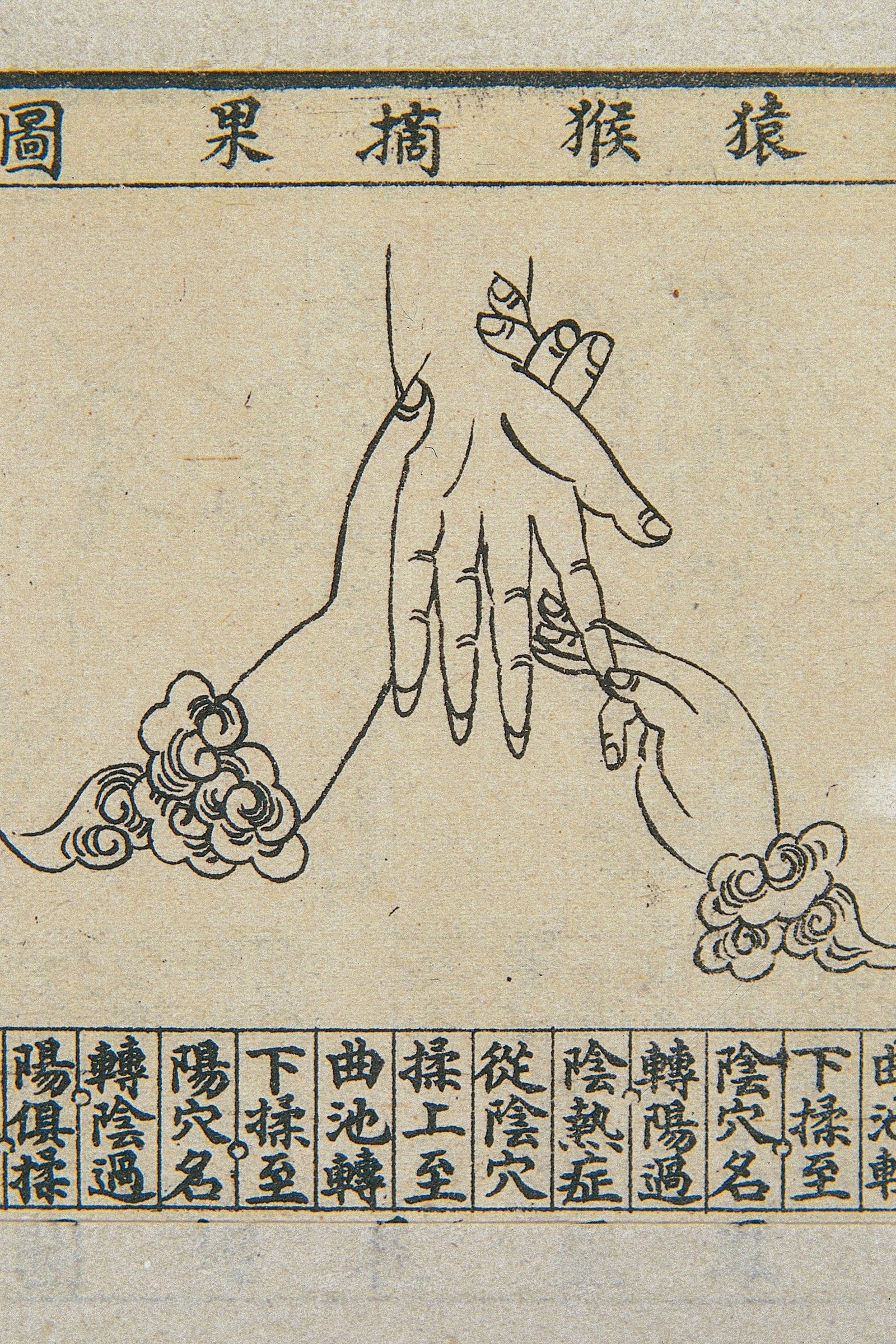 Illustration du Singe cueillant des fruits, dans un style traditionnel à l'encre et au pinceau, l'une des 16 illustrations de massage des mains et des bras incluses dans Aperçu du massage pédiatrique tuina de Xiong Yingxiong, période Qing.