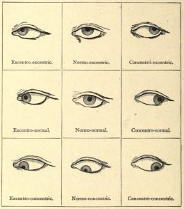 Les attitudes du globe oculaire, système Delsarte d'expression dramatique, 1886