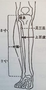 Point supérieur du grand tertre, 上巨虚 shàng jù xù, est le trente septième point du méridien de l’estomac.