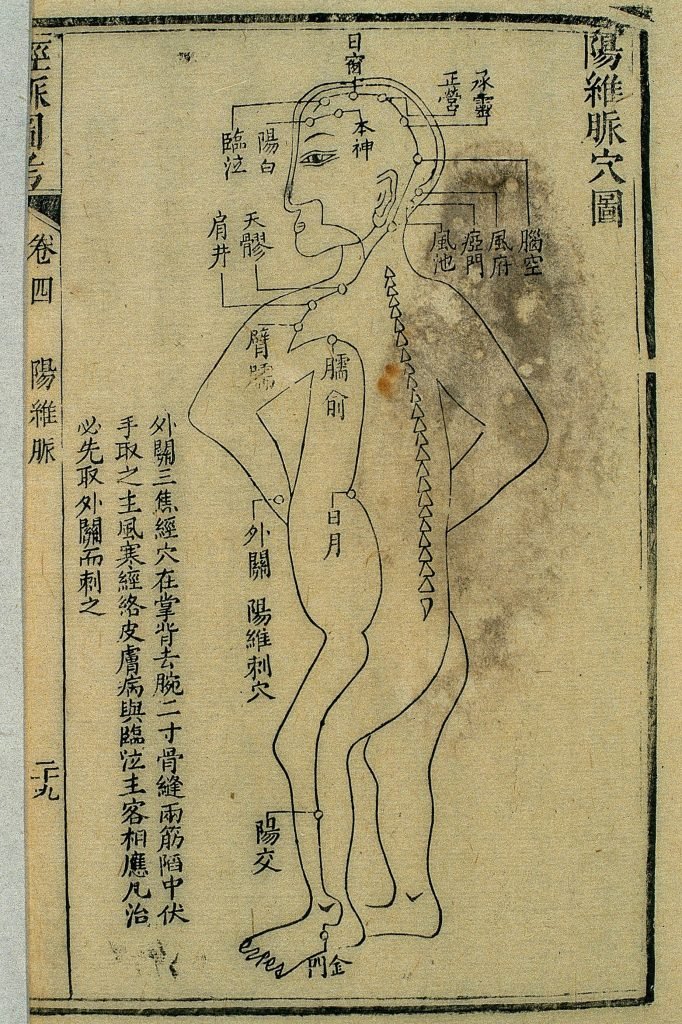 Gravure sur bois, illustrant le trajet du 陽維脈 yáng wéi mài, tirée de l'étude illustrée des canaux (經脈圖考 jīng mài tú kǎo), publiée en 1878