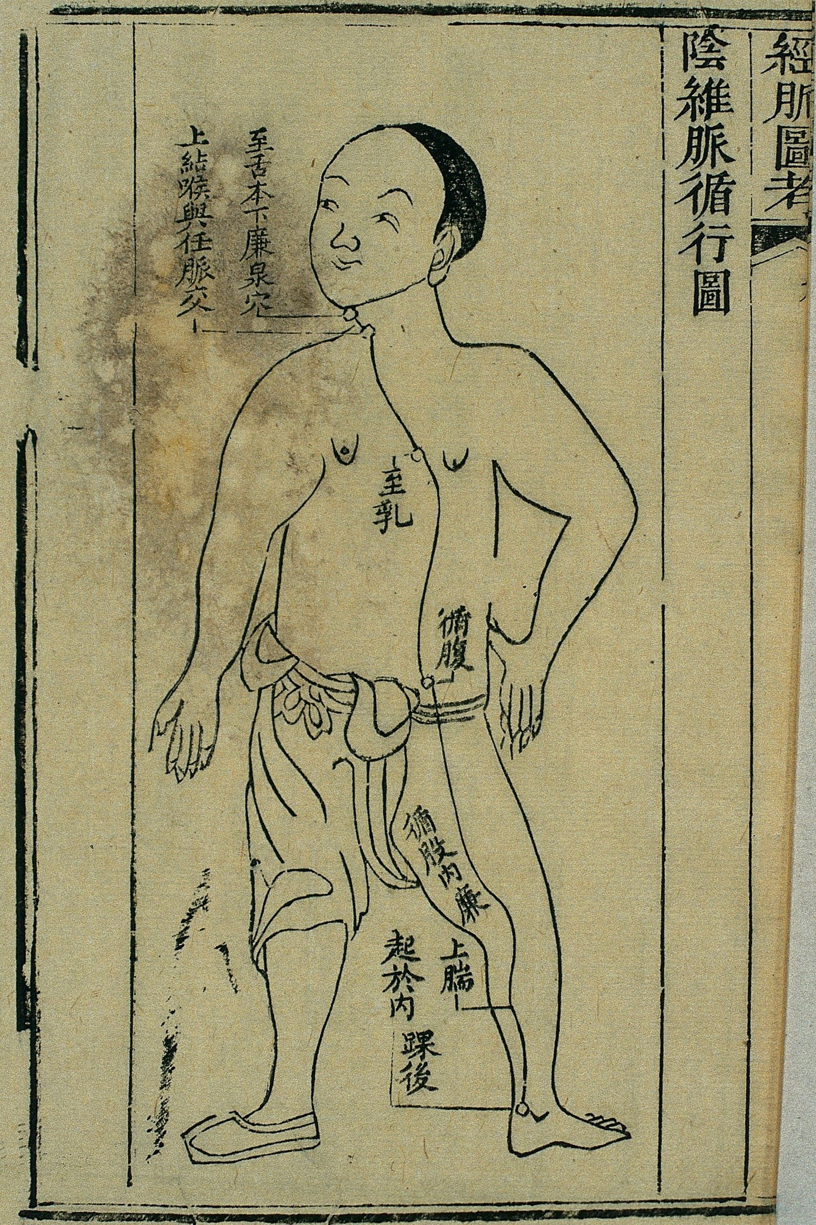 Gravure sur bois, illustrant le trajet du 阴维脉 yīn wéi mài