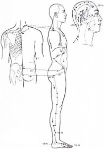 Illustration du méridien de la vésicule biliaire