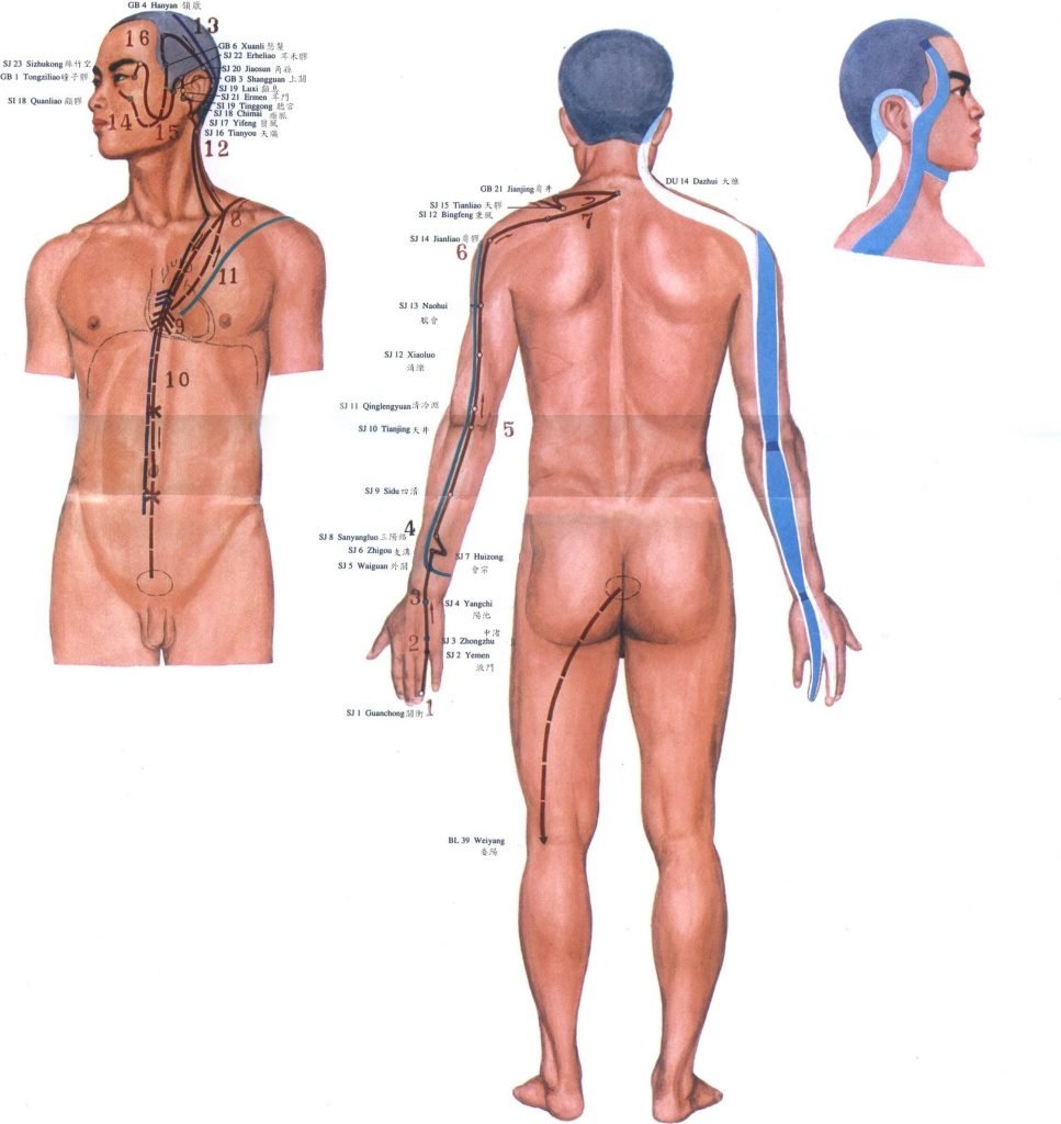 Illustration du méridien sanjiao et du système collatéral du shaoyang de la main