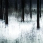 Paysages de Chris Friel