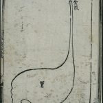 Anatomie de l'estomac dans la médecine chinoise ancienne, gravure sur bois