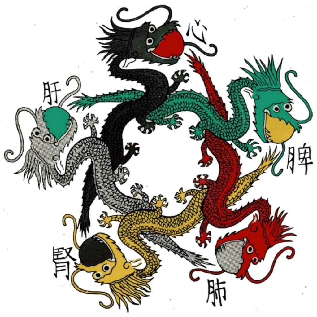 Illustration des cinq couleurs par cinq dragons avec perle