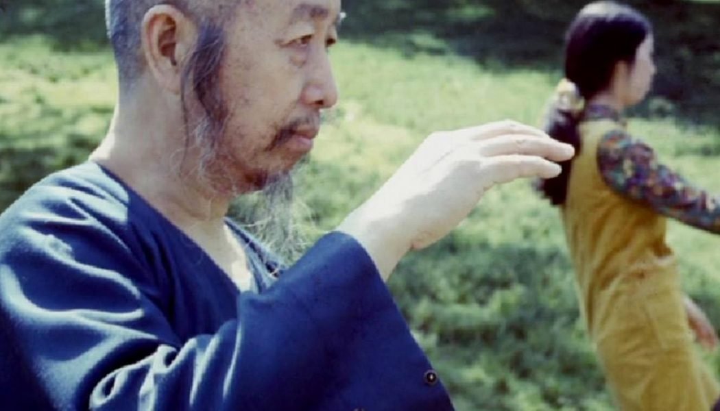La main du professeur Cheng Man Ching