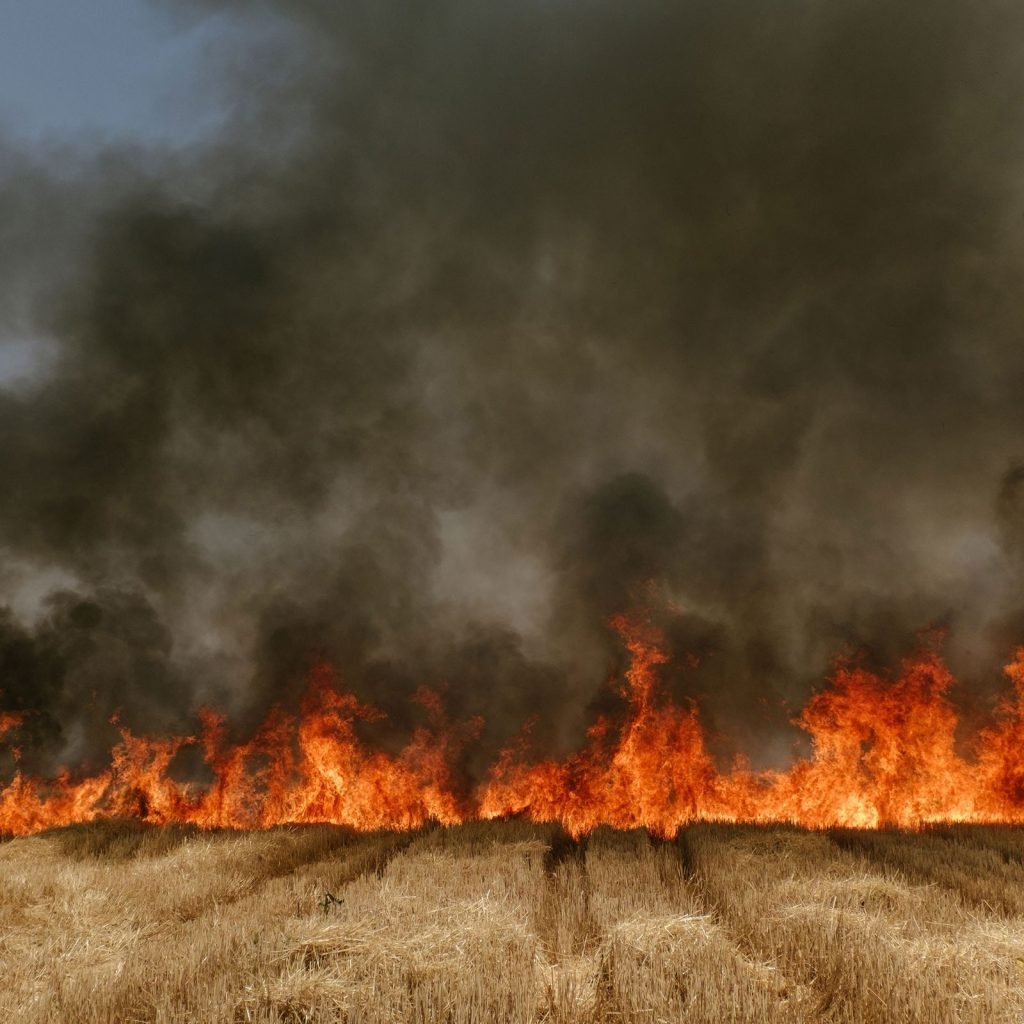 Incendie d'un champ de blé dans l'Etat de Madhya Pradesh, en Inde, photographie de Matthieu Paley