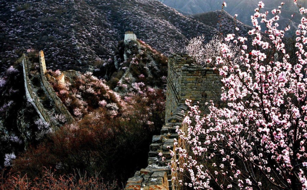 La muraille de Chine au printemps