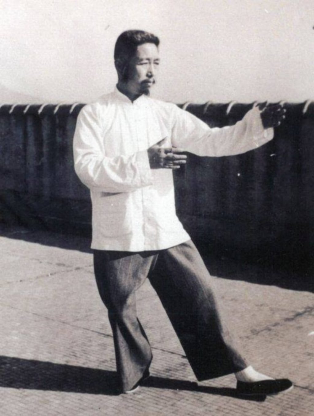Posture du joueur de pipa, Cheng Man Ching