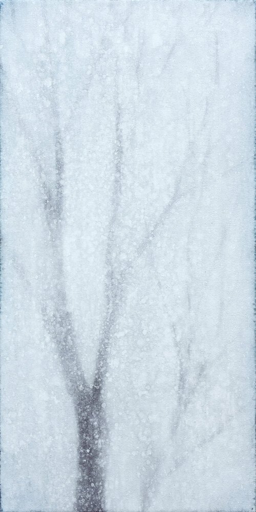 Yuki, l'hiver, 2020, Takashi Harada