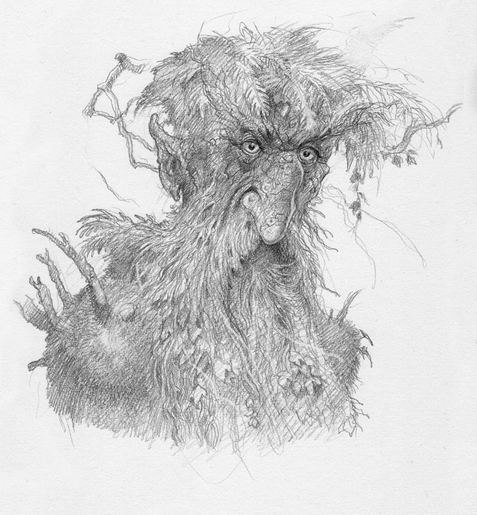 Ent gardien de la forêt de Fangorn, illustration de John Howe pour le Seigneur des anneaux