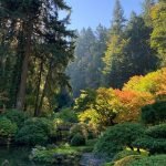 Le jardin japonais de Portland