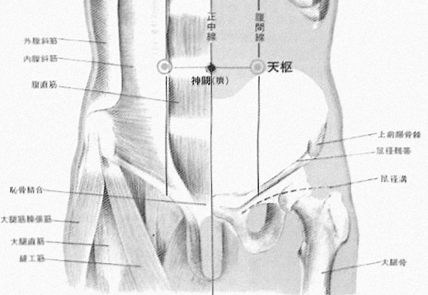 天枢 tiān shū est le vingt cinquième point du méridien de l'estomac