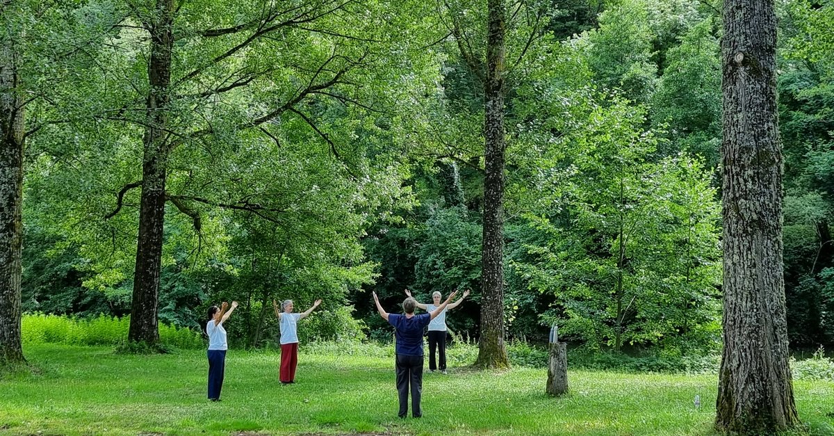 Tiandi - Formation au qi gong séminaire d'été FB