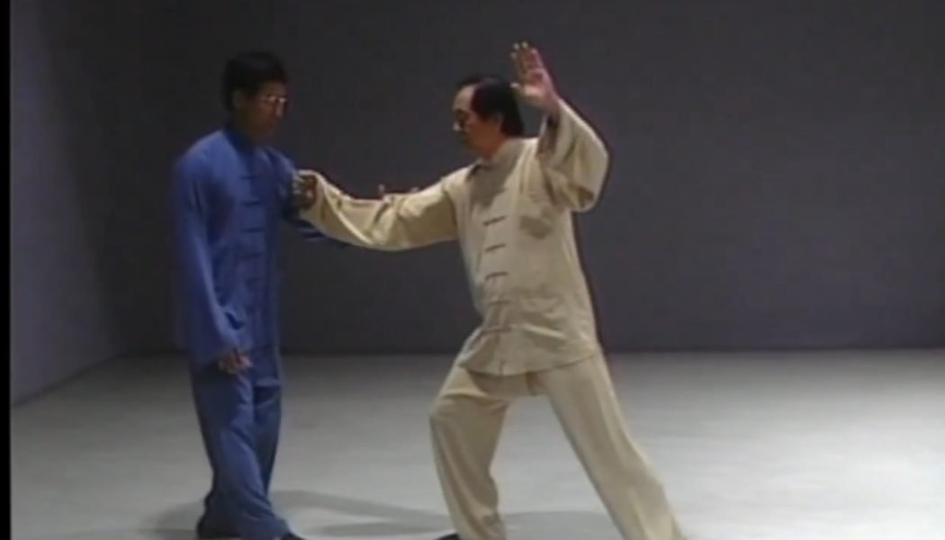 Sanshou enseigné par maître Chu Hong-ping