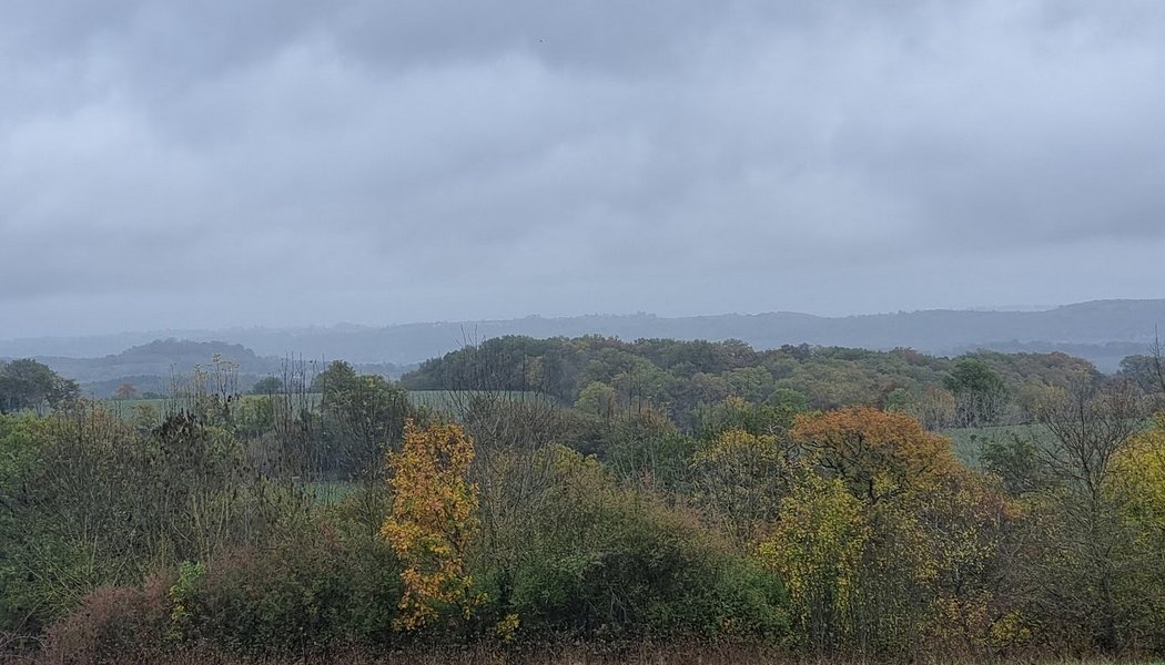 Paysage savignacois en novembre, photographie de Dominique Clergue