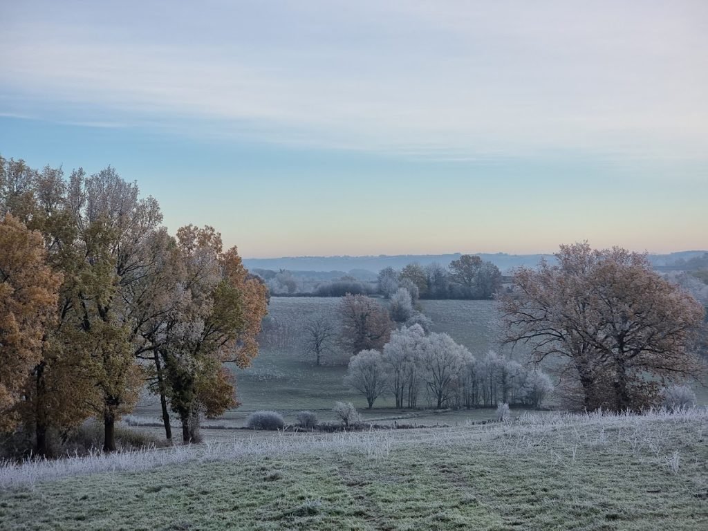 Paysage savignacois décembre 2022, photographie de Dominique Clergue