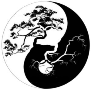 Symbole taiji en arbre
