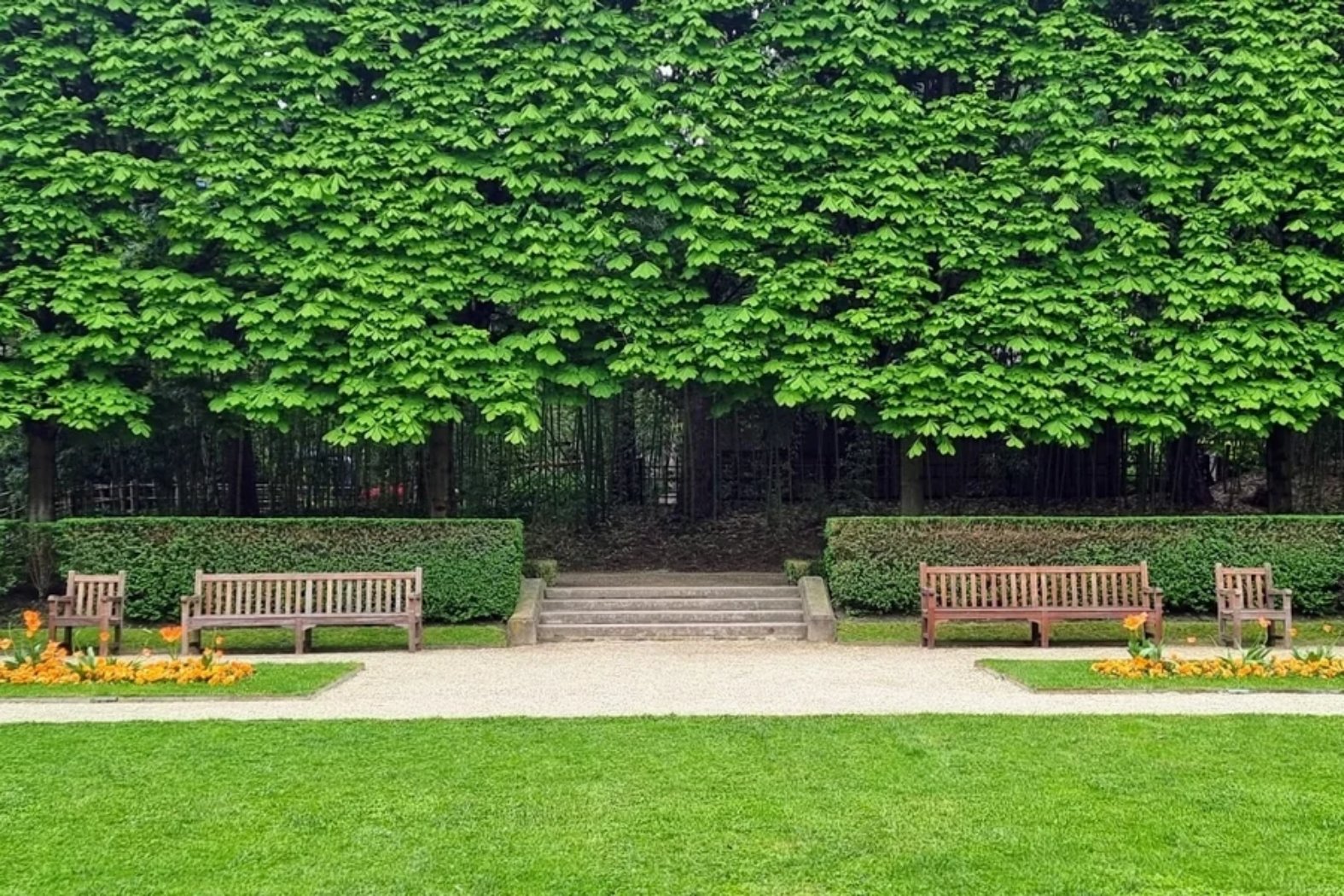 Jardin du musée départemental Albert-Kahn, photographie de Dominique Clergue