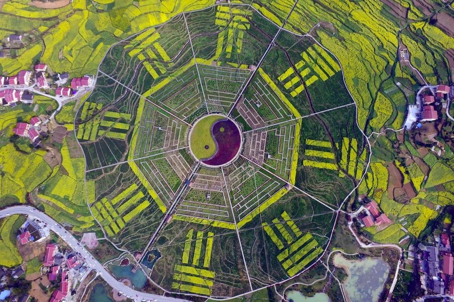 Photographie du jardin géant des huit trigrammes, comté de Zunyi, province du Guizhou