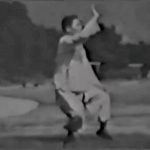 Forme de taijiquan de style Yang par maître Yao Guang