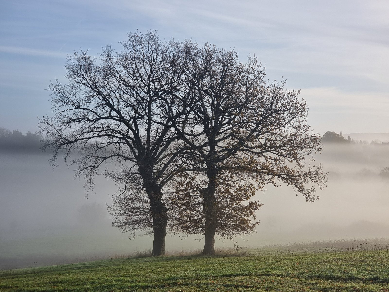 Paysage savignacois décembre 2023, photograhie de Dominique Clergue