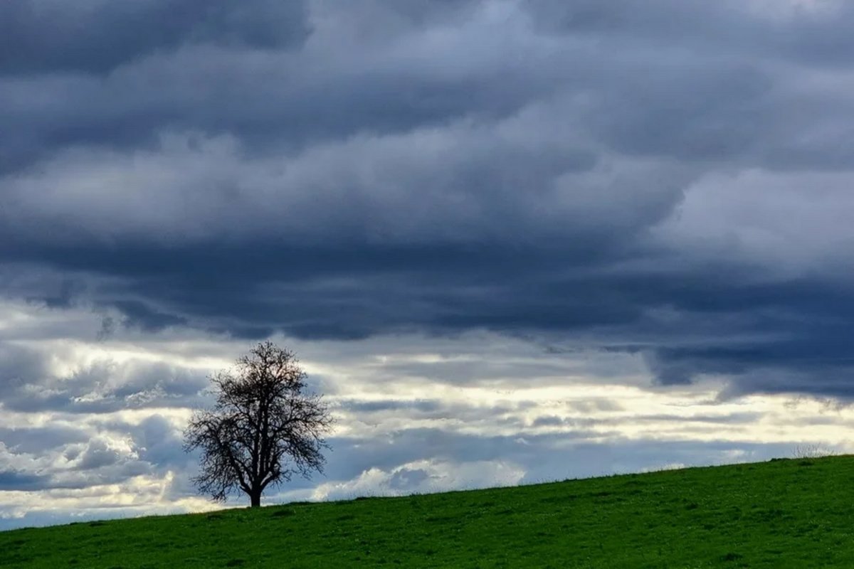 Paysage savignacois avril, photographie de Dominique Clergue