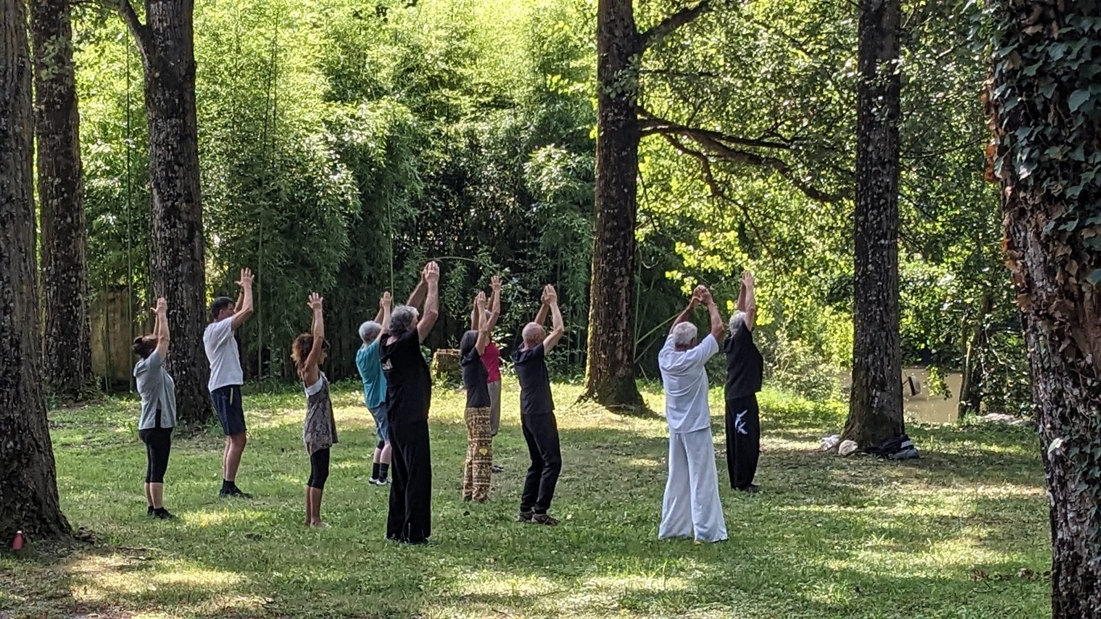 Séminaire d'été 2024 de qi gong de l'école Tiandi