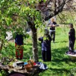 Ateliers de qi gong Villefranche de Rouergue 10 avril 2022 - Formation Tiandi