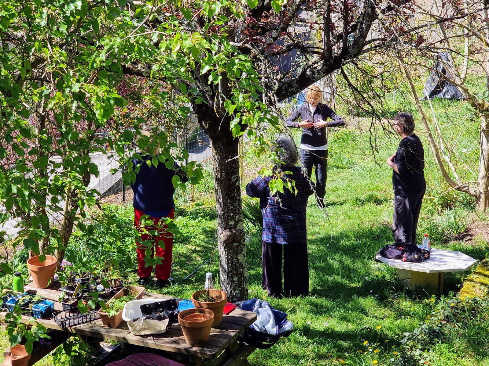 Ateliers de qi gong Villefranche de Rouergue 10 avril 2022 - Formation Tiandi