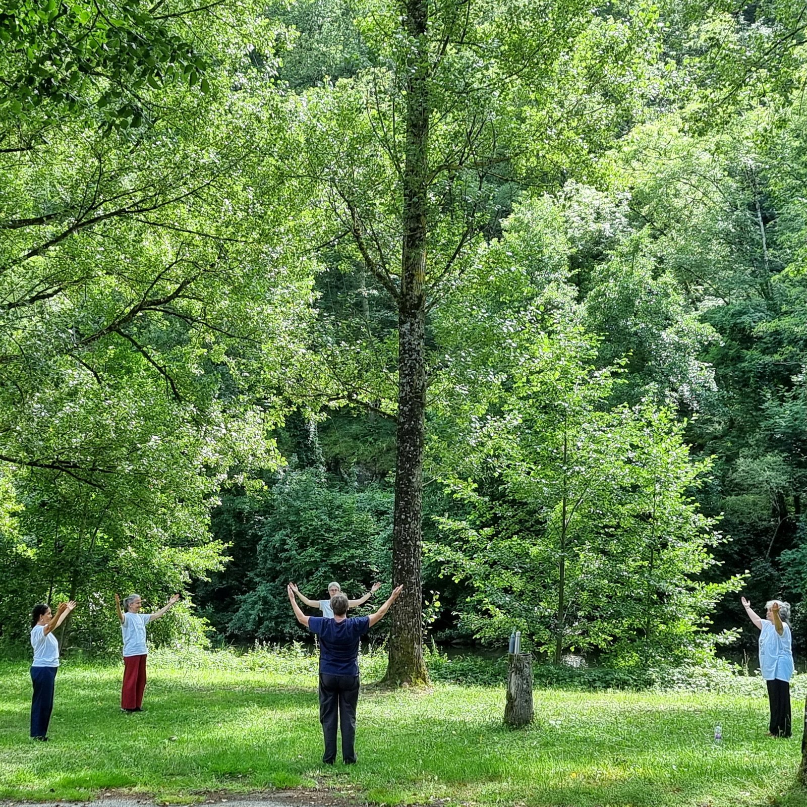 Pratique sous les arbres, séminaire d'été 2021